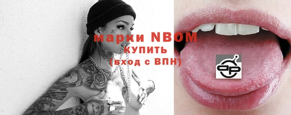винт Няндома