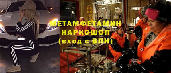 шишки Заволжск